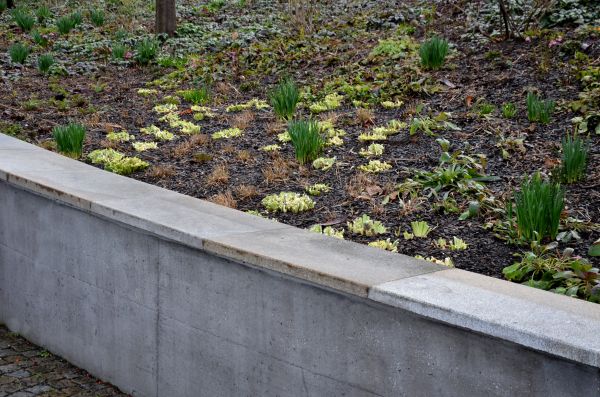 Concrete Wall Construction in Cary