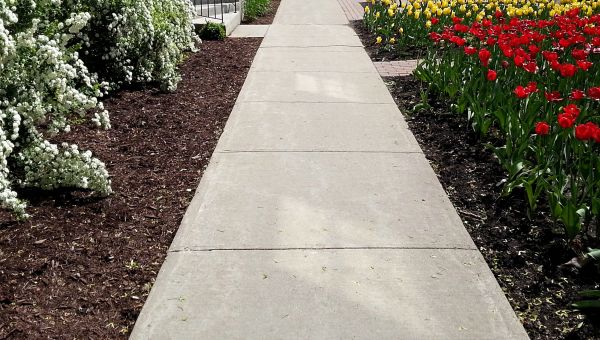 Cement Sidewalk Installation in Cary