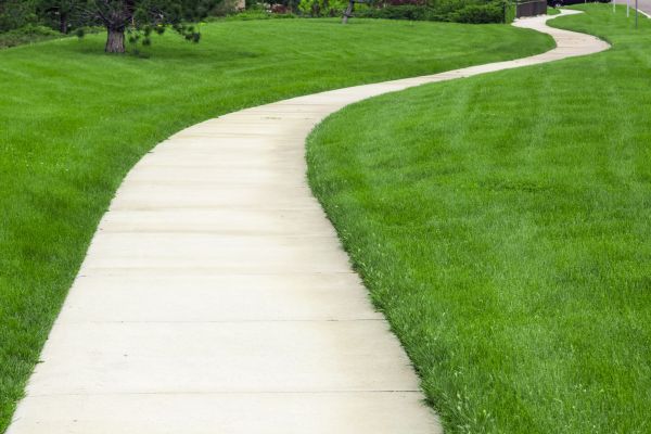 Pathway Replacement in Cary