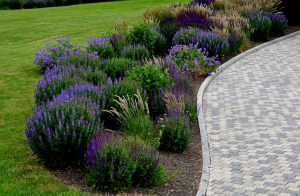 Sidewalk Curb Installation in Cary
