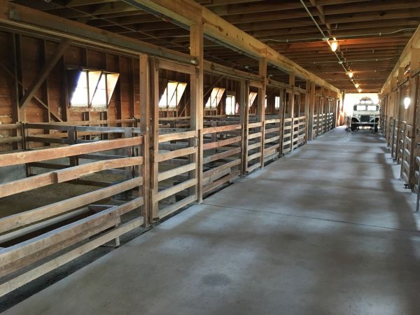 Barn Slab Construction in Cary