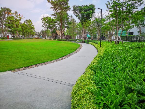 Cement Walkway Service in Cary
