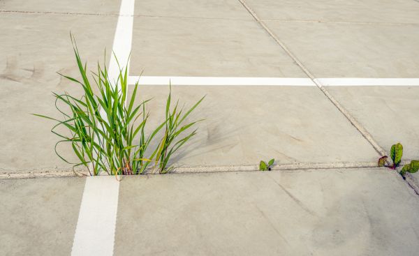 Concrete Parking Installation in Cary